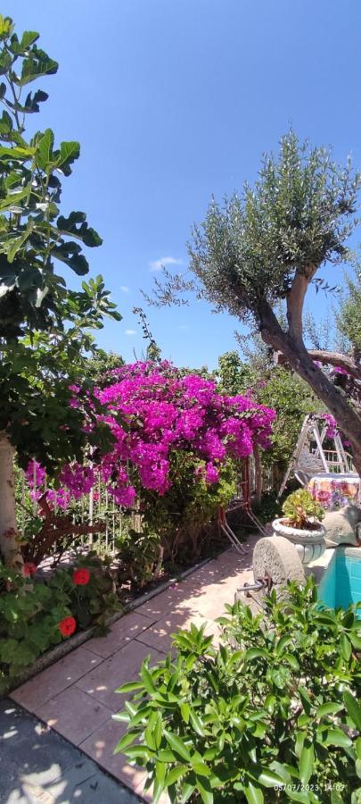 La Casa Di Mariu Bed & Breakfast ฟูร์นารี ภายนอก รูปภาพ